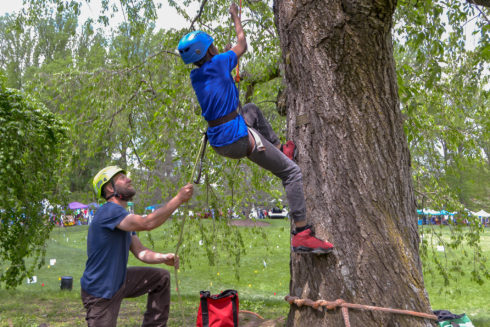 An arborist for Montgomery Parks holds a rope while a child in climbing gear and a helmet climbs a tree.