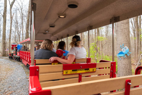 Passengers on the miniature train look to their right and see a blue cricket character on a tree during their Spring Eye Spy Train ride.