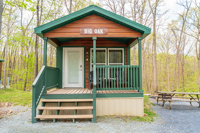 Big Oak Cabin