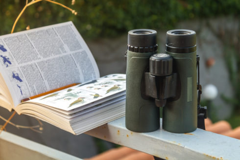 A bird field guide open with a pencil in the fold and a pair of binoculars. Both are on a railing outdoors.
