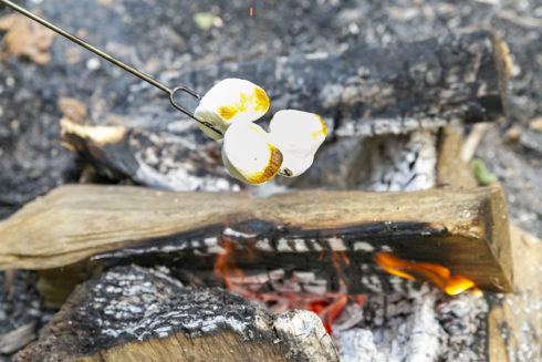 Three marshmallows on a metal forked rod toasting over a campfire.