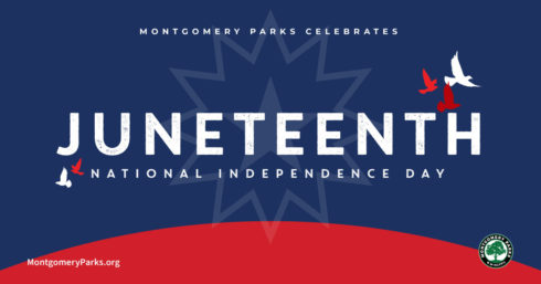 Juneteenth graphic. There is a star in the middle with a sunburst around it. Text reads: Juneteenth. National Independence Day. There are three birds on one end of the word "Juneteenth" and two birds at the other end. 