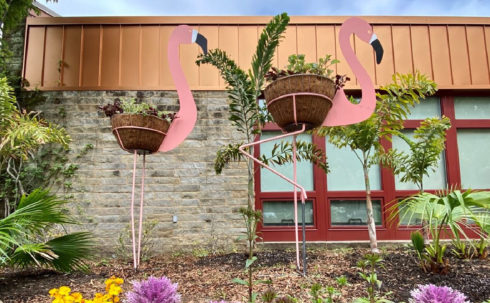 Two large metal flamingos in front of a building. Each flamingo has a container of plants.