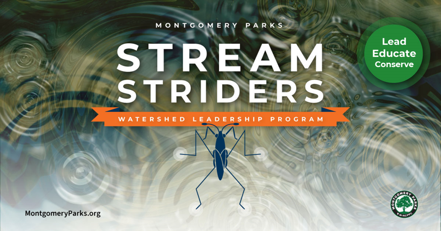 Stream Striders Watershed Leadership Program. Background of water ripples, image of water strider in blue. Lead, Educated, Conserve.