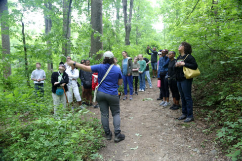 Group of people in the woods. They stand on a path and look ahead towards a guide wearing a hat and crossbody bag. The guide points to the left. 