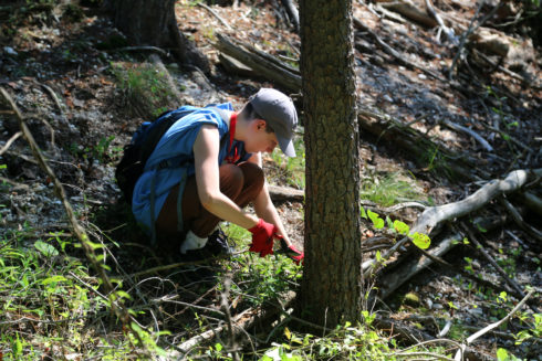 volunteer cuts plants