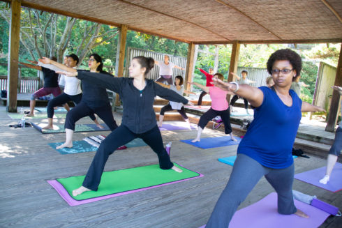 People in warrior stance during a yoga class inside the Japanese teahouse at Brookside Gardens.