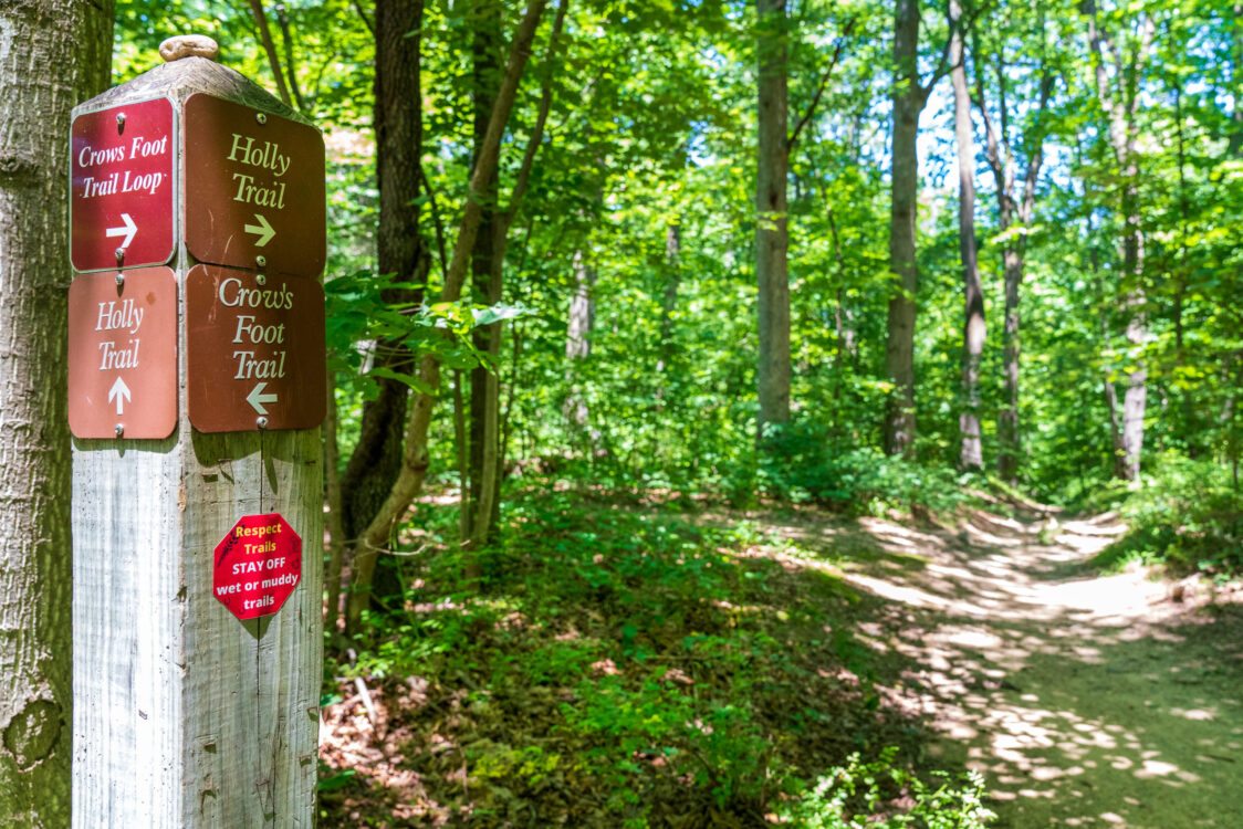 Hiking, biking, equestrian trails in Montgomery parks