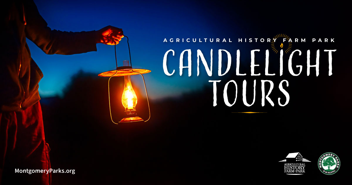 Learn about the history of the Farm Park on a candlelight tour!