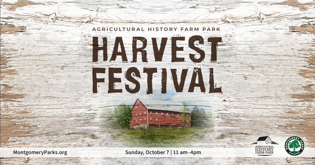Harvest Festival October 7, 11am-4pm
