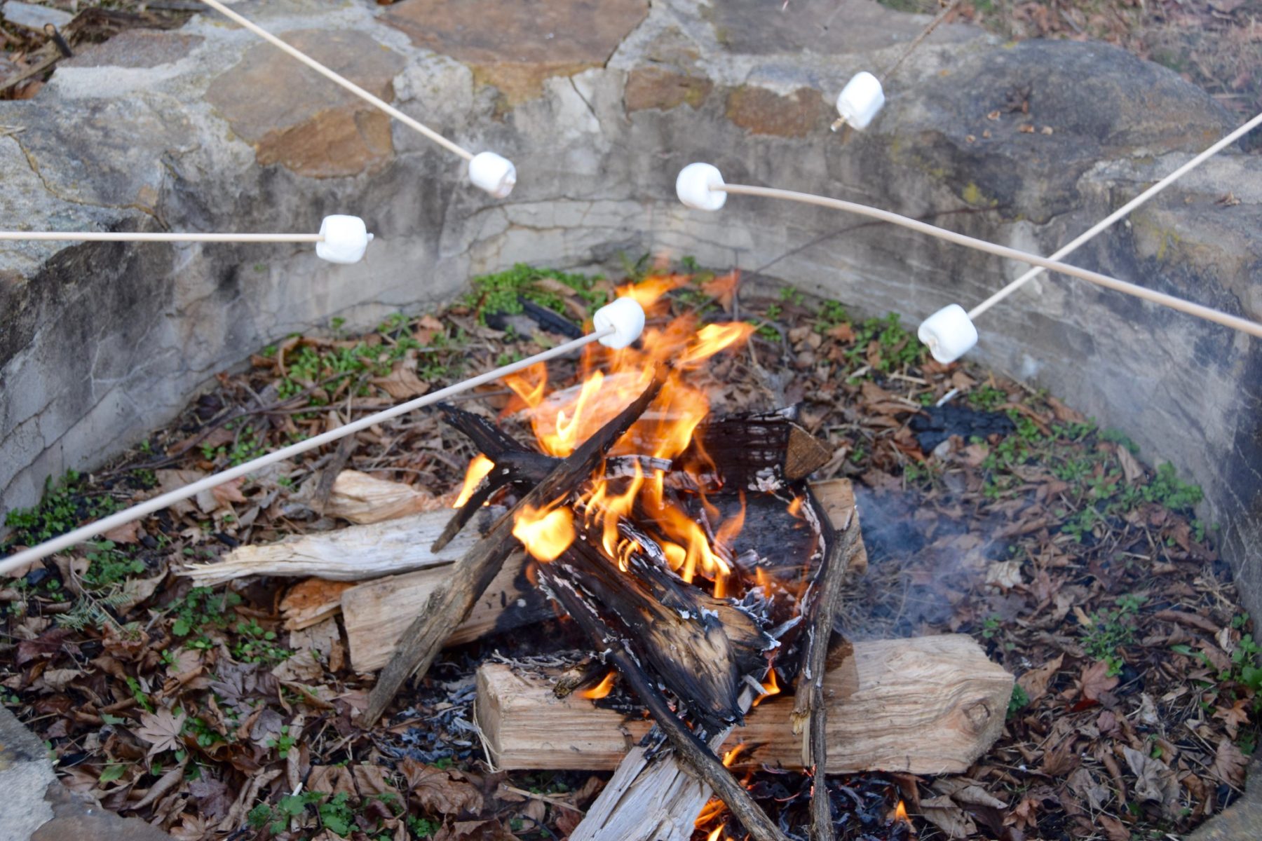 Six sticks with marshmallows hover over a campfire.