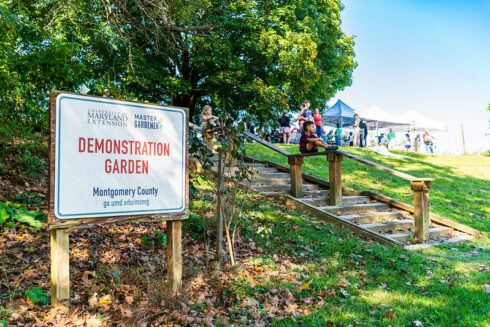 Sign and staircase to access UMDE demo garden