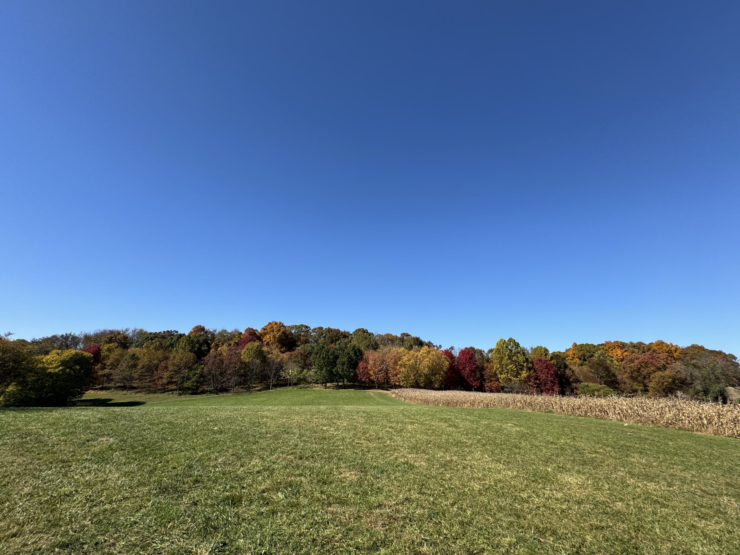 Farm Park Field in Fall