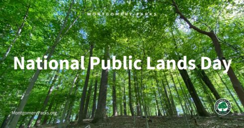 Trees with text: National Public Lands Day.
