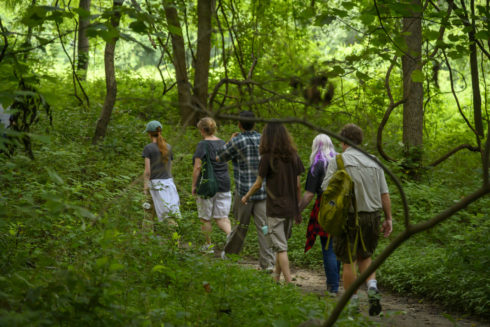 People walking on a path through a green wooded area.