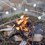 redtails-in-love-and-campfire_49558159861_o