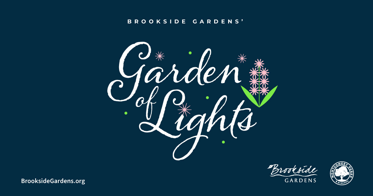 Garden of Lights Graphic