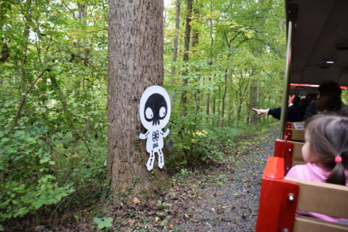 Person points to a skeleton on a tree during a Halloween Eye Spy Train ride. Meanwhile, a child also looks at the skeleton.