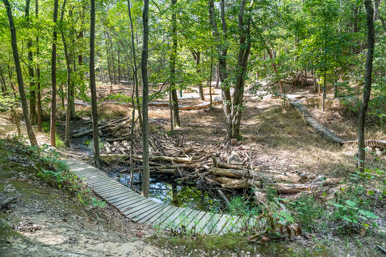 Features at the mountain bike skills park at Fairland Recreational Park.