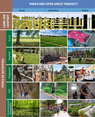 collage of park activities