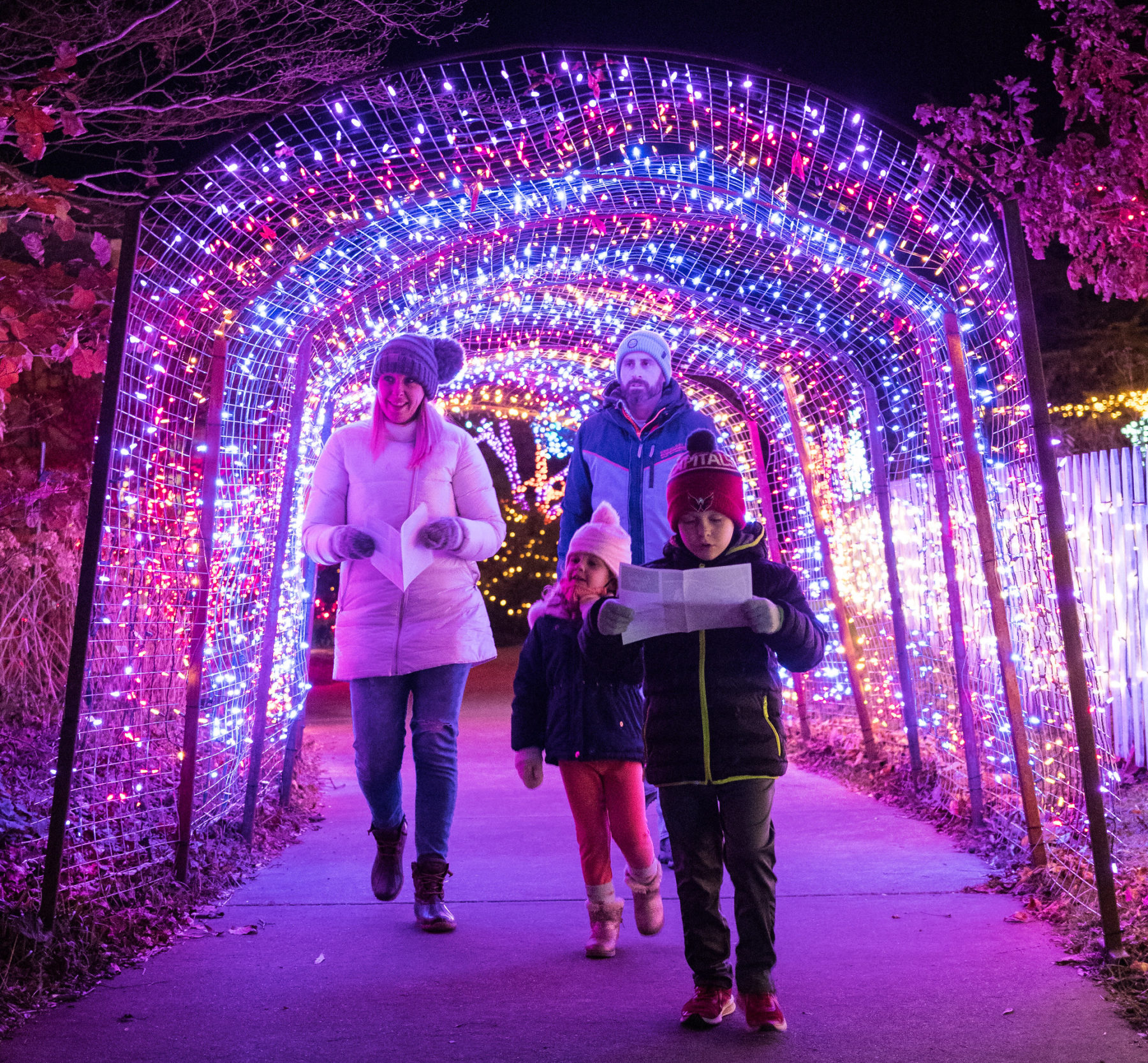 Two adults and two children walk through a tunnel of lights at Brookside Gardens' Garden of Lights.