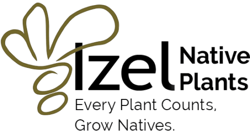 Izel Native Plants - Every Plant Counts, Grow natives