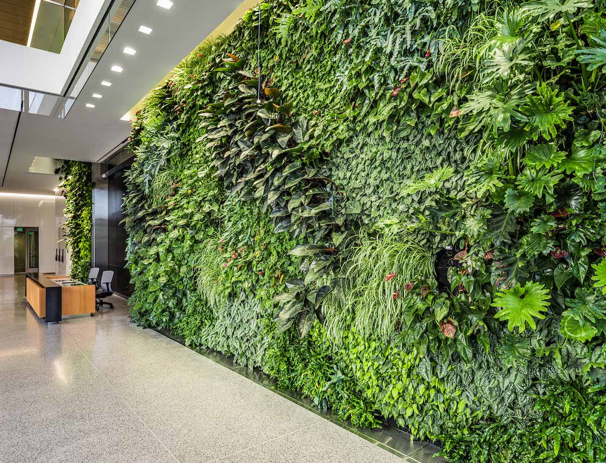 living wall in lobby Montgomery parks Wheaton headquarters