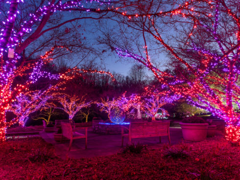 Trees wrapped in pink and purple lights at Garden of Lights. In the middle of the photo is a large sculptural ball.