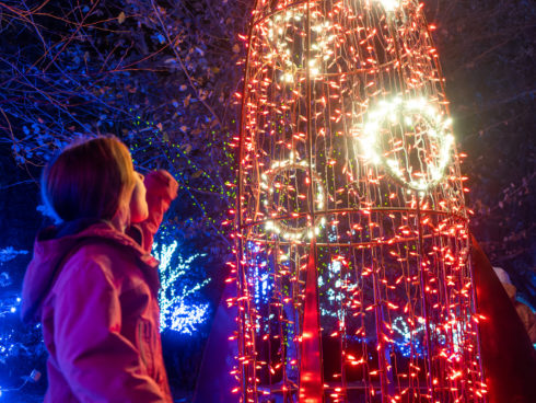 A child looks up with mouth open in awe at a light display at Garden of Lights.