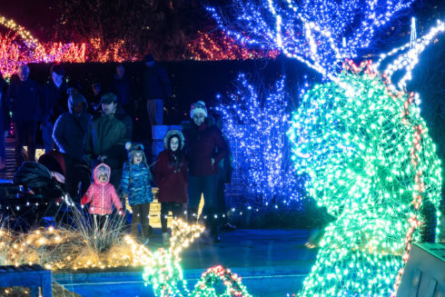 People take in the lights at Montgomery Parks' Garden on Lights during the 2022 holiday season.