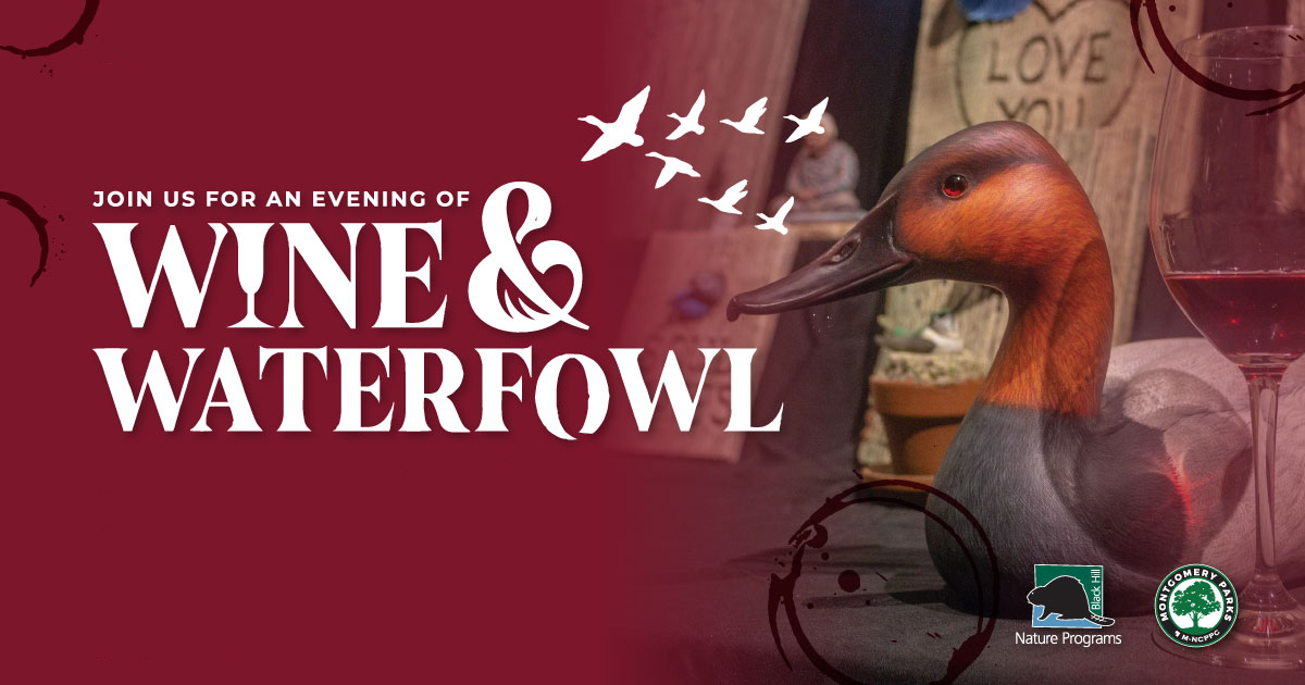 Wine and waterfowl graphic