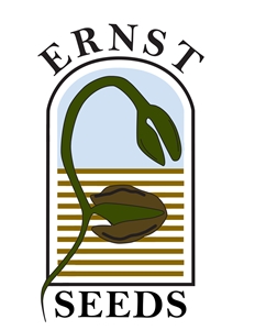 Ernst Seed logo