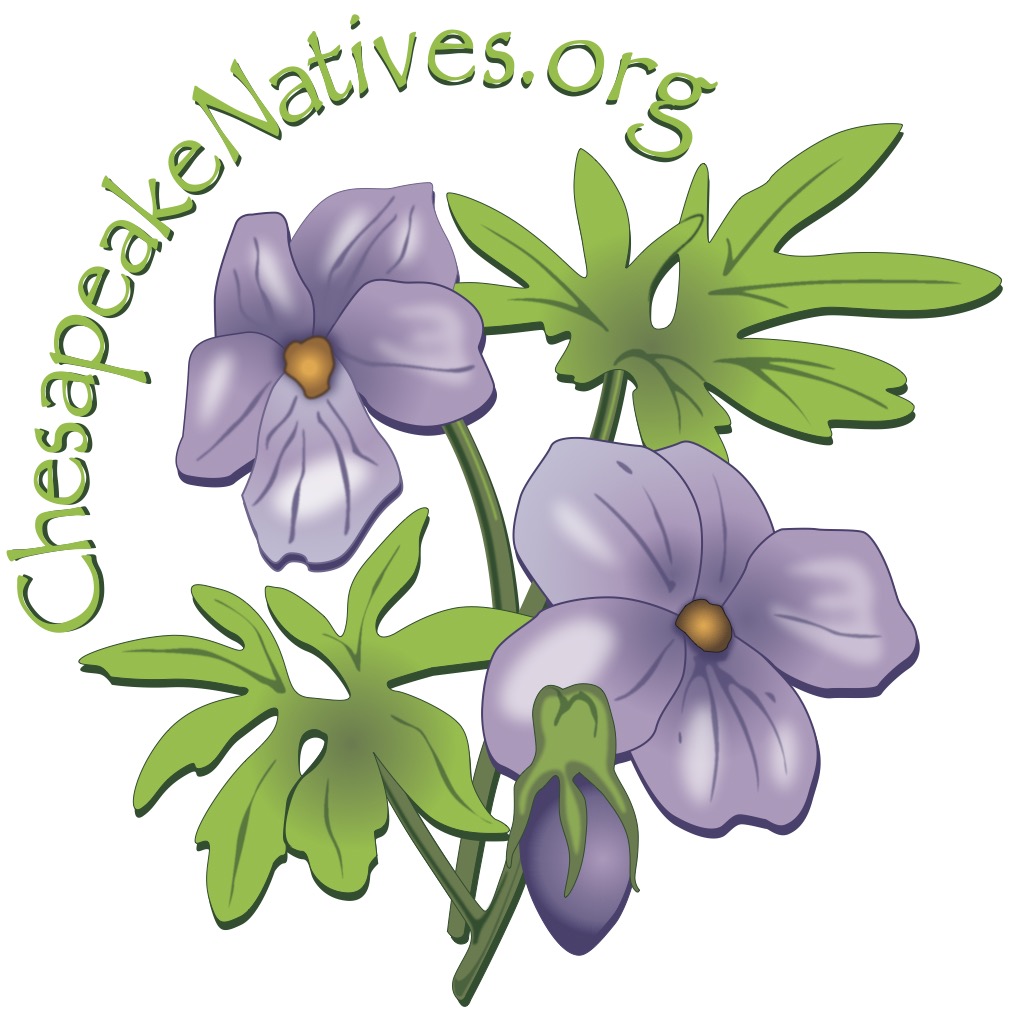 Logo for Chesapeake Natives