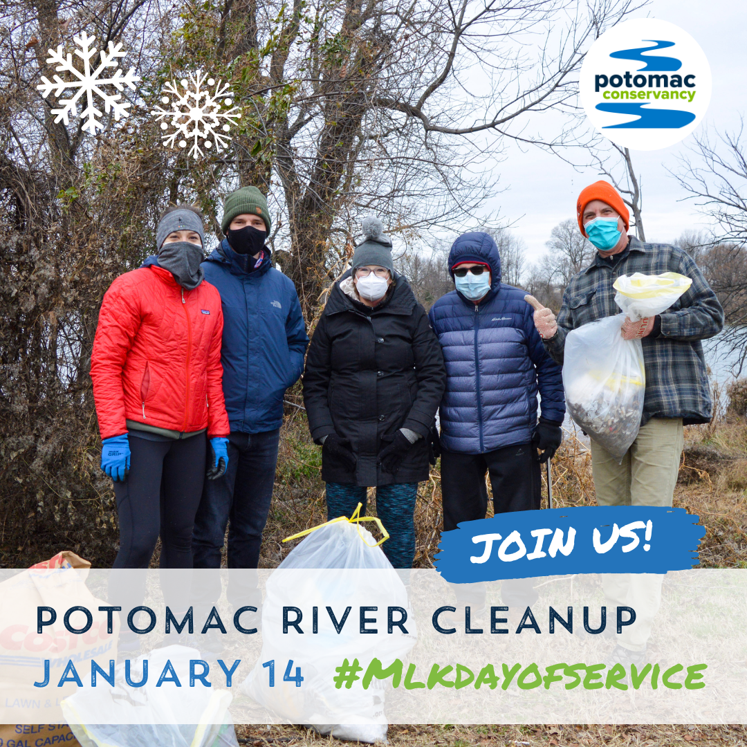 Potomac Conservancy volunteers holding trash bags at a park in the winter. snow flake graphics and text overlayed that reads "join us! potomac river cleanup january 14 hashtag mlk-day-of-service)"