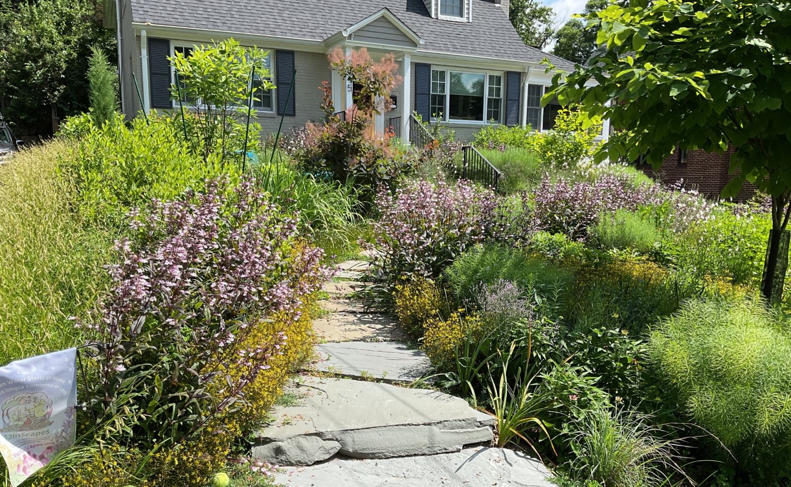 Lush garden in front of a home filled with native plants representing a conservation landscape.