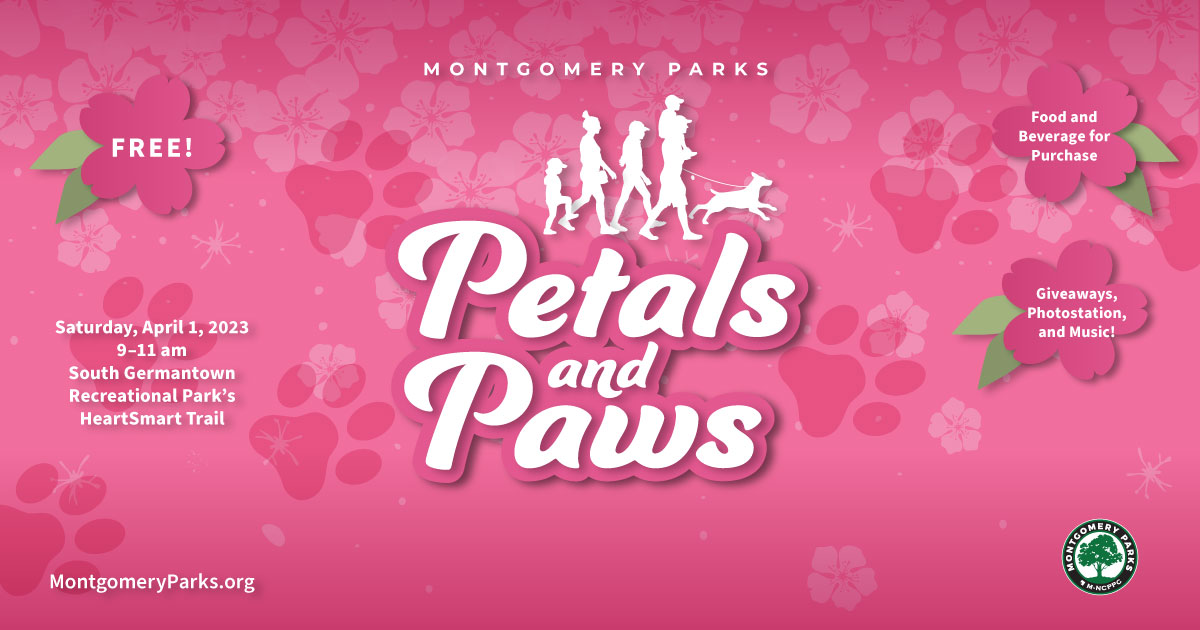 Graphic Petals and Paws