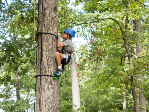 kid climbing a tree