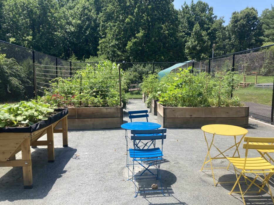 Common area with tables and an accessible gardening table at Black Hill Community Garden