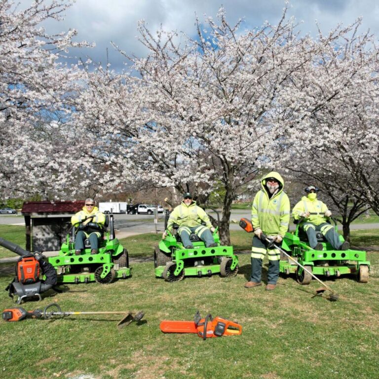 park staff with electric equipment