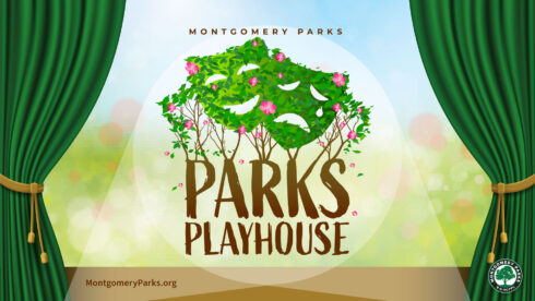 parks playhouse graphic with theater masks made out of leaves and branches sprouting from a tree with pink flowers blooming around it