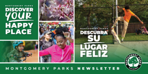 Discover Your Happy Place Newsletter banner with kids on skateboards, dancing, biking and flowers.