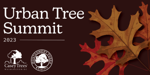 Urban Tree Summit 2023