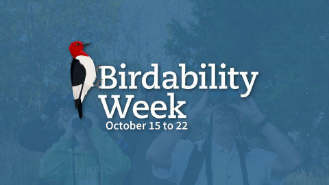Birdability Week Graphic - October 15 to 22