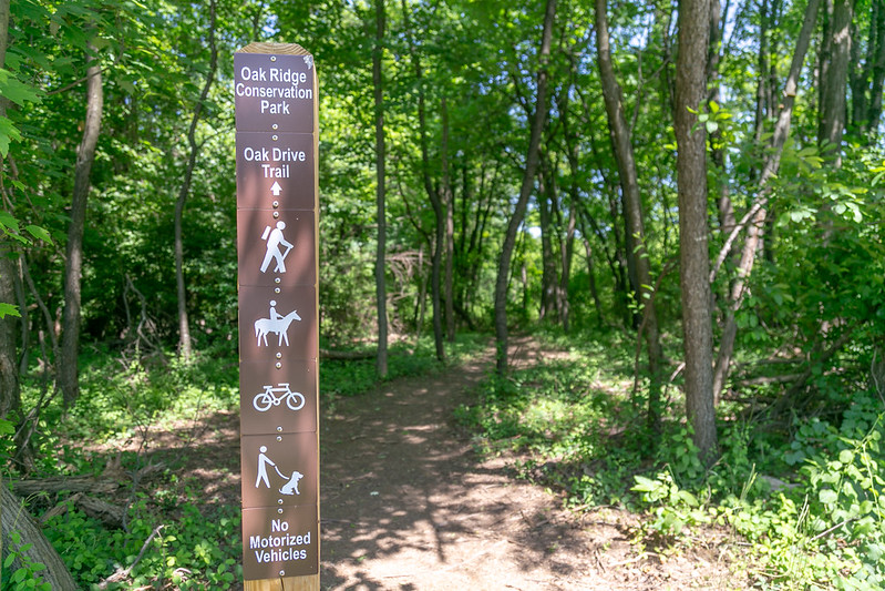 Oak Ridge Conservational Park Trails