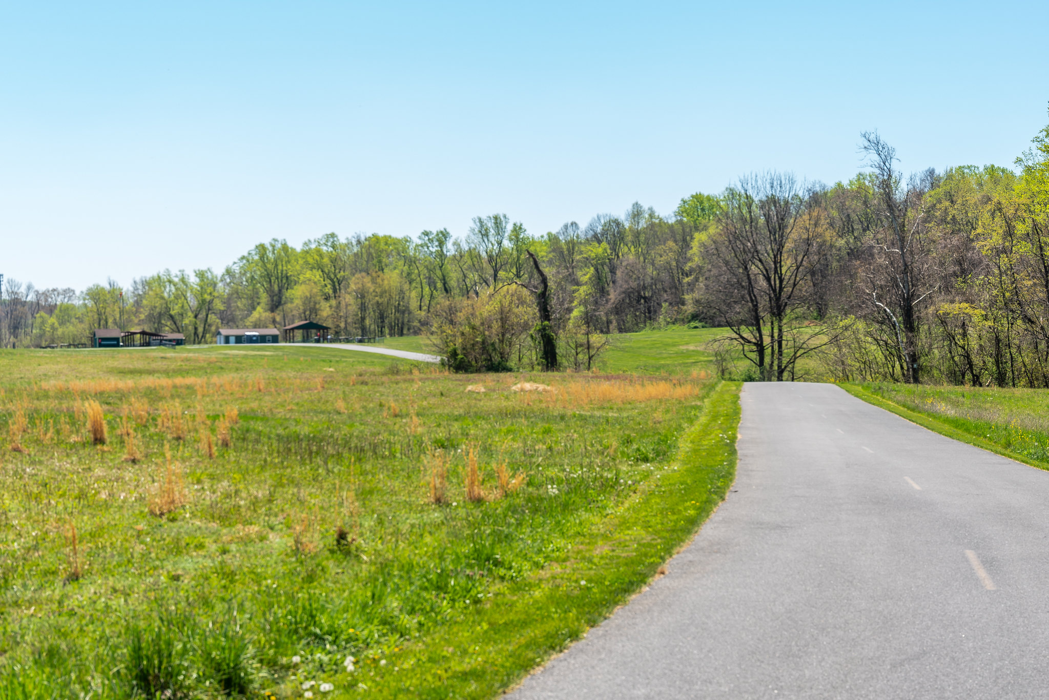 Road to picnic shelters at Little Seneca Stream Valley Park