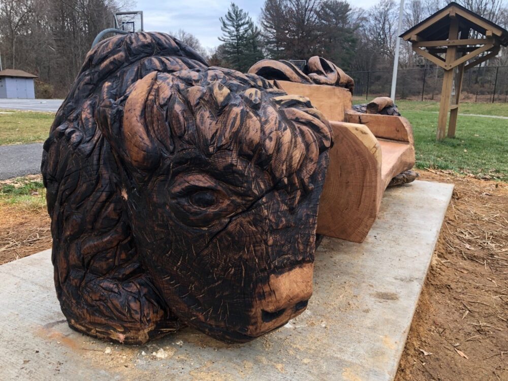 The side of the Linden Oak bench carving - buffalo
