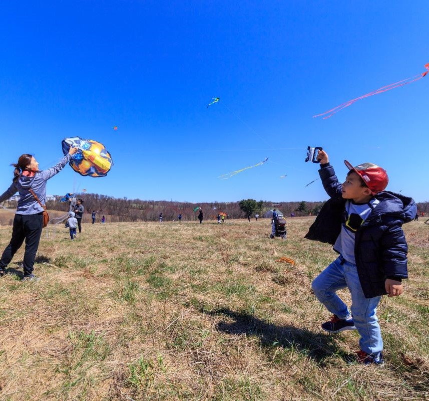 People flying kites in an open field under a blue sky.