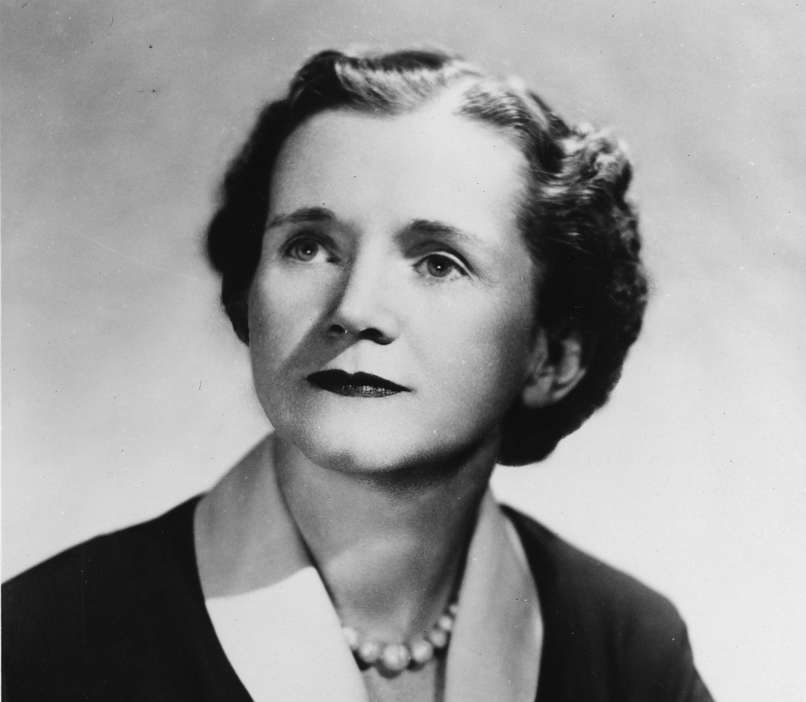 Black and white photo of Rachel Carson, shown from the chest up, in 1951.