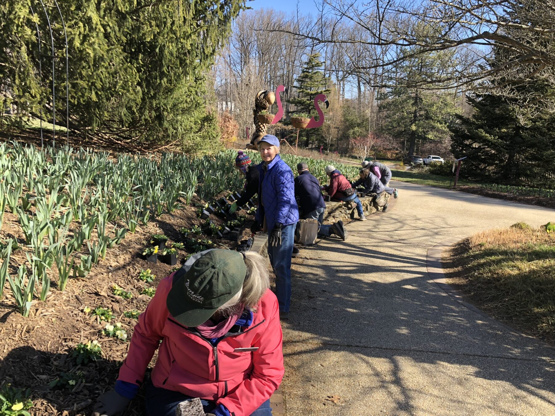 volunteers on trail gardening