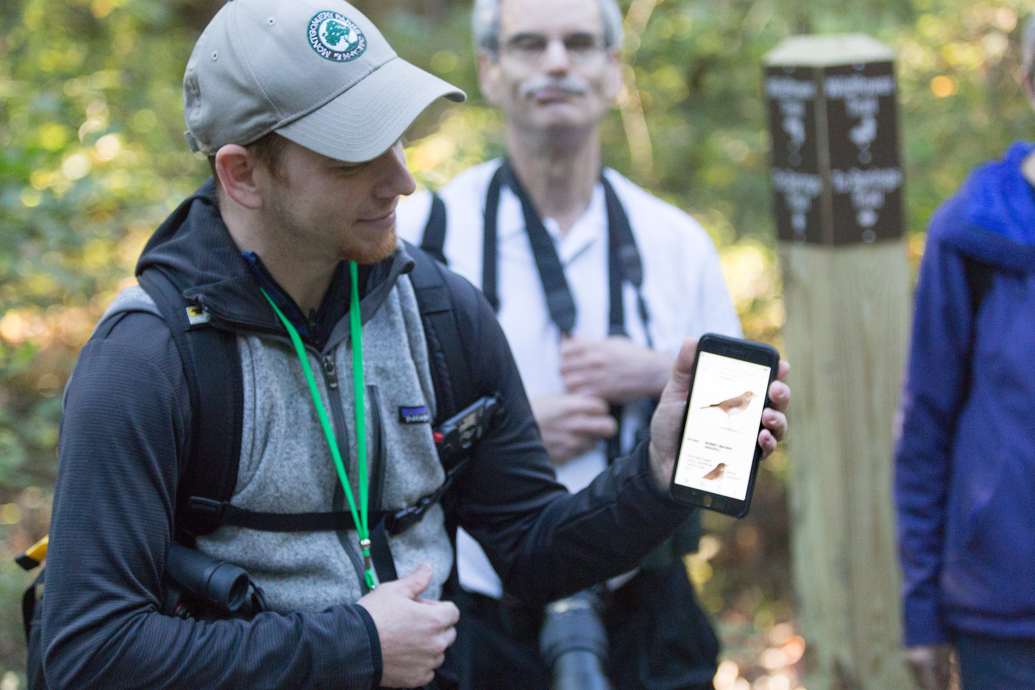 person holds his phone that is showing a picture of a bird